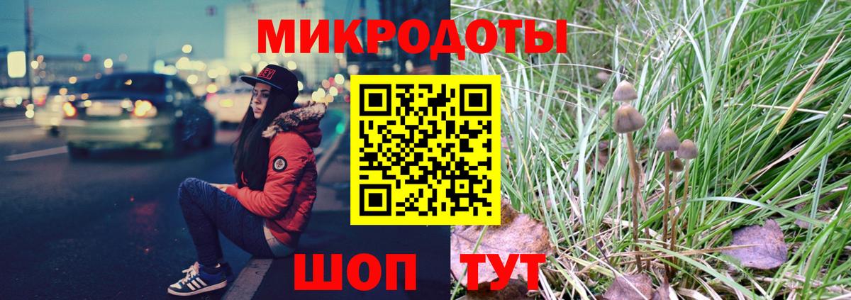 Псилоцибиновые грибы Psilocybine cubensis Дагестанские Огни