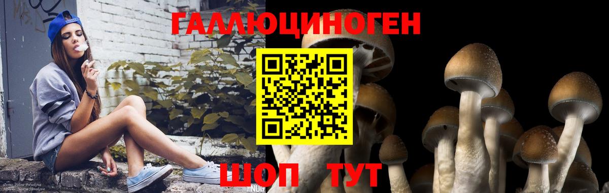 Дагестанские Огни  Псилоцибиновые грибы прущие грибы  Вход с VPN  Псилоцибиновые грибы Magic Shrooms 